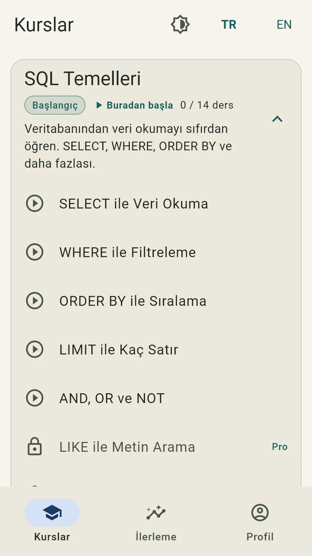 Aynı liste açık temada — uygulama açık, koyu ve AMOLED temayı destekliyor